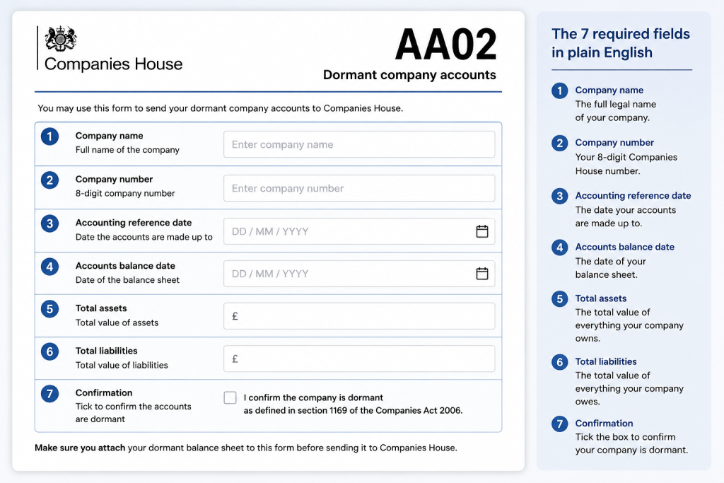 Annotated example of the AA02 dormant company accounts form fields